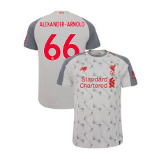 Liverpool 2018-19 Third #66 Trent Alexander-Arnold Light Gray Replica Jersey Liverpool 2018-19 Third #66 Trent Alexander-Arnold Light Gray Replica Jersey